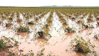 La DANA haciendo estragos en Castilla-La Mancha