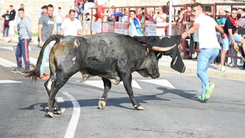 Imagen de un encierro en Tordesillas