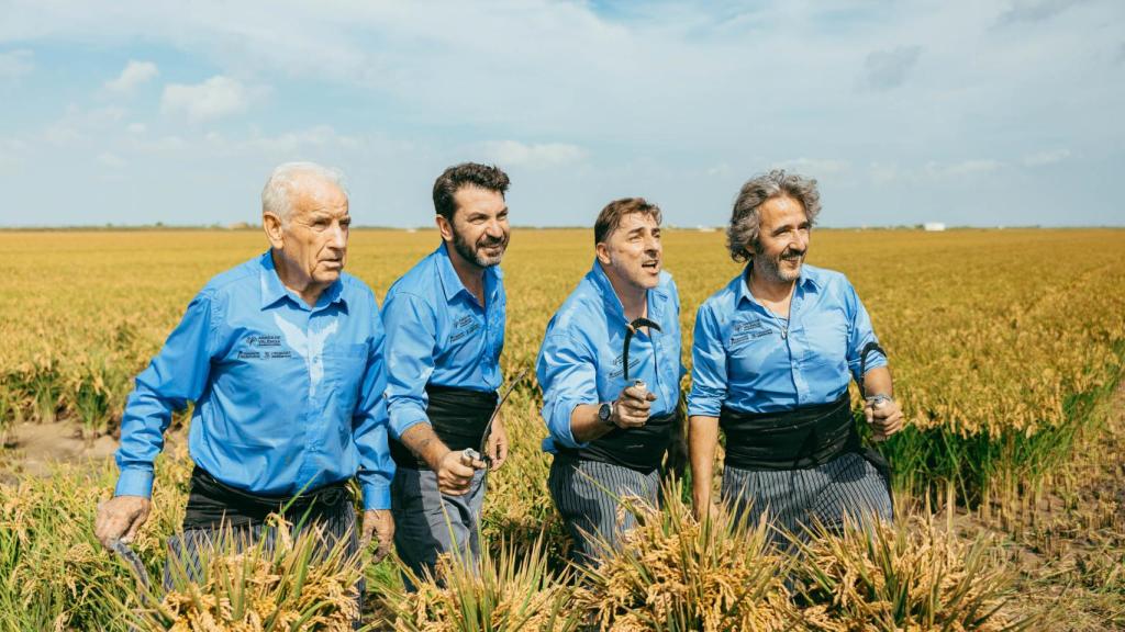 Prestigiosos chefs con madera de arrocero se reúnen en L'Albufera valenciana