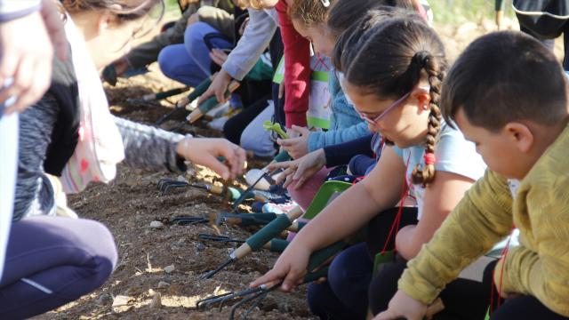 Imagen de archivo de niños plantando semillas en un parque.