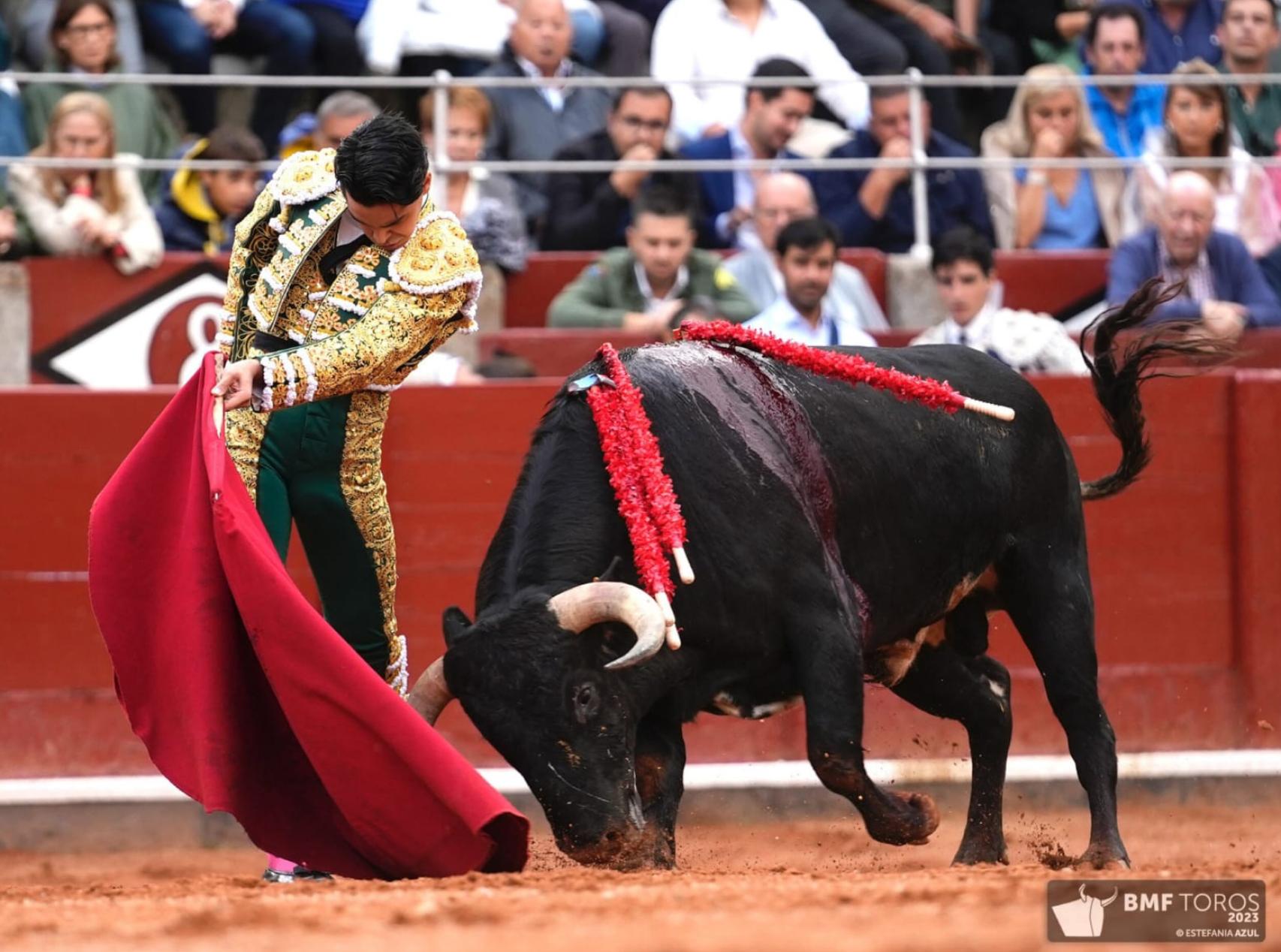 Bonito remate del novillero de Valladolid Mario Navas