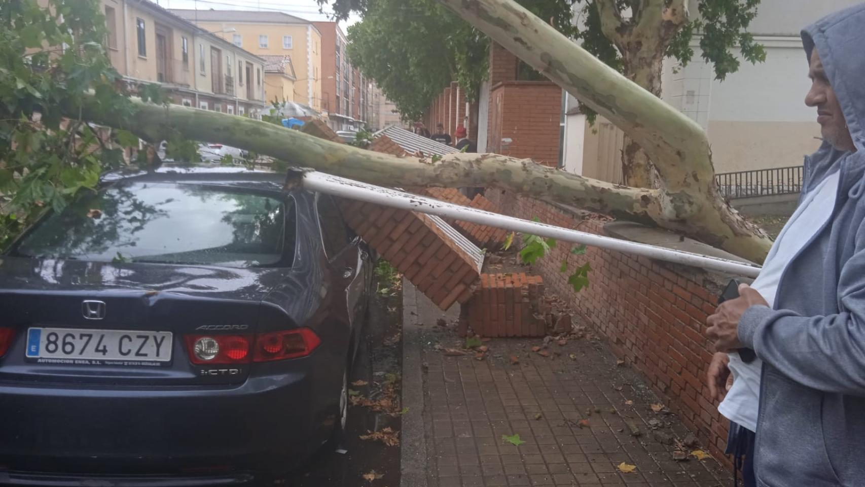 Apocalipsis de viento y lluvia en Aranda de Duero: en 10 minutos muros y árboles arrancados
