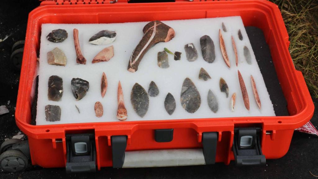 Varias de las piezas encontradas.