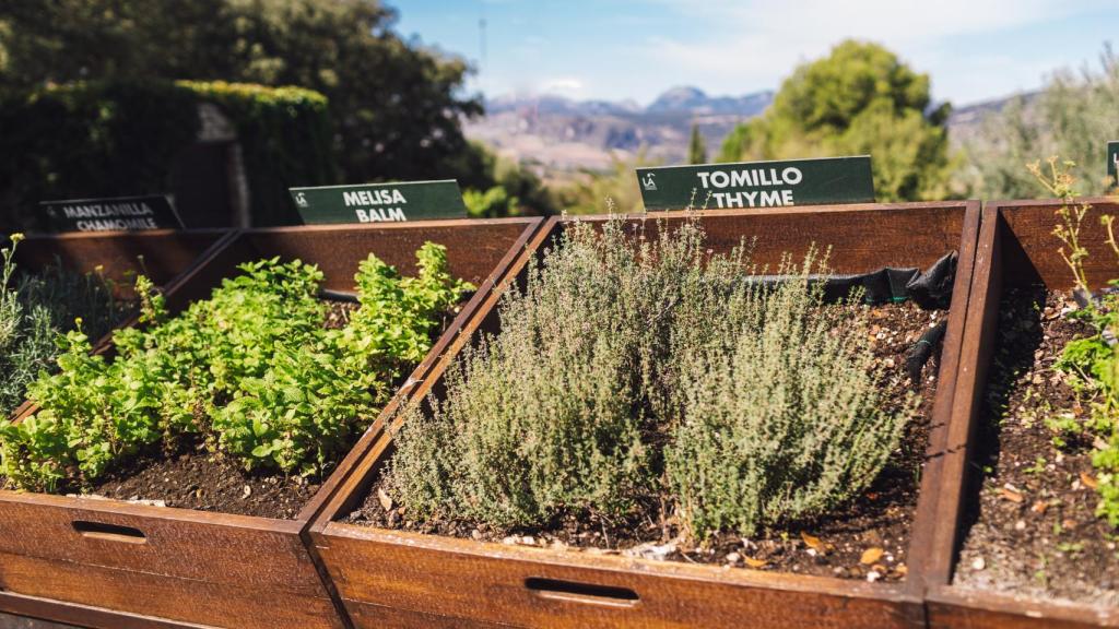 LA Organic Experience