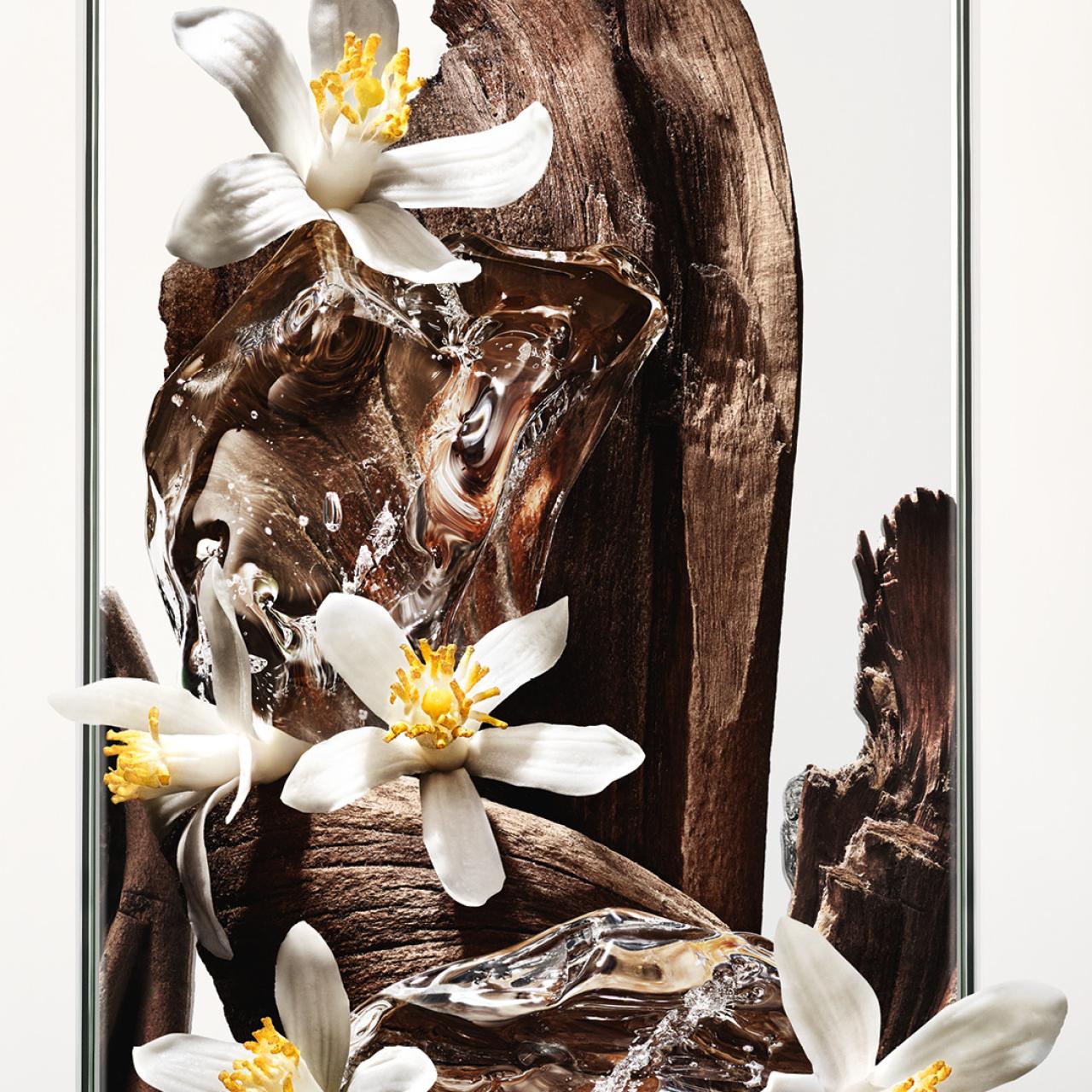 Detalle de los ingredientes del perfume MYSLF, de Yves Saint Laurent.