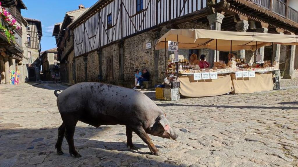 Cantimpalos: el pueblo a 1 hora de Madrid que tiene uno de los embutidos más emblemáticos de España.