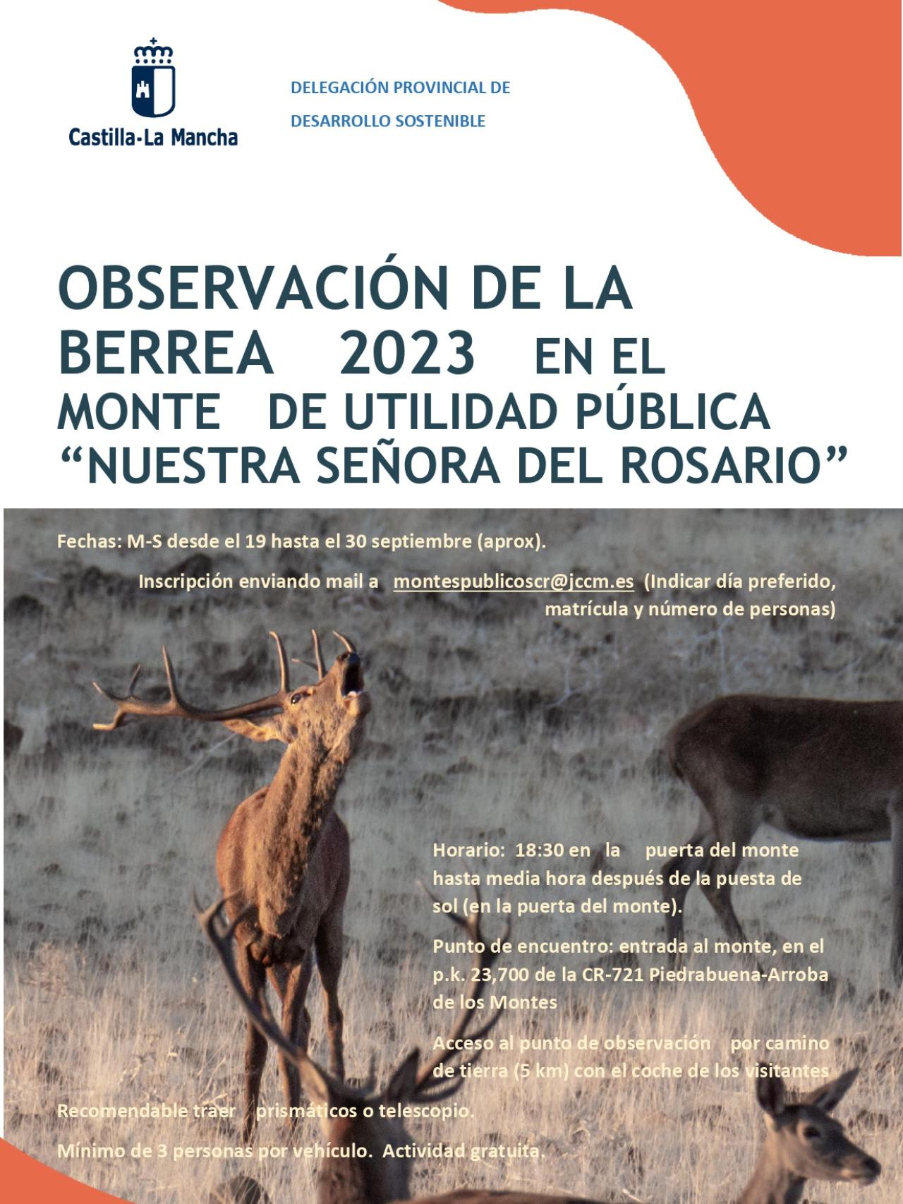 Cartel de la actividad