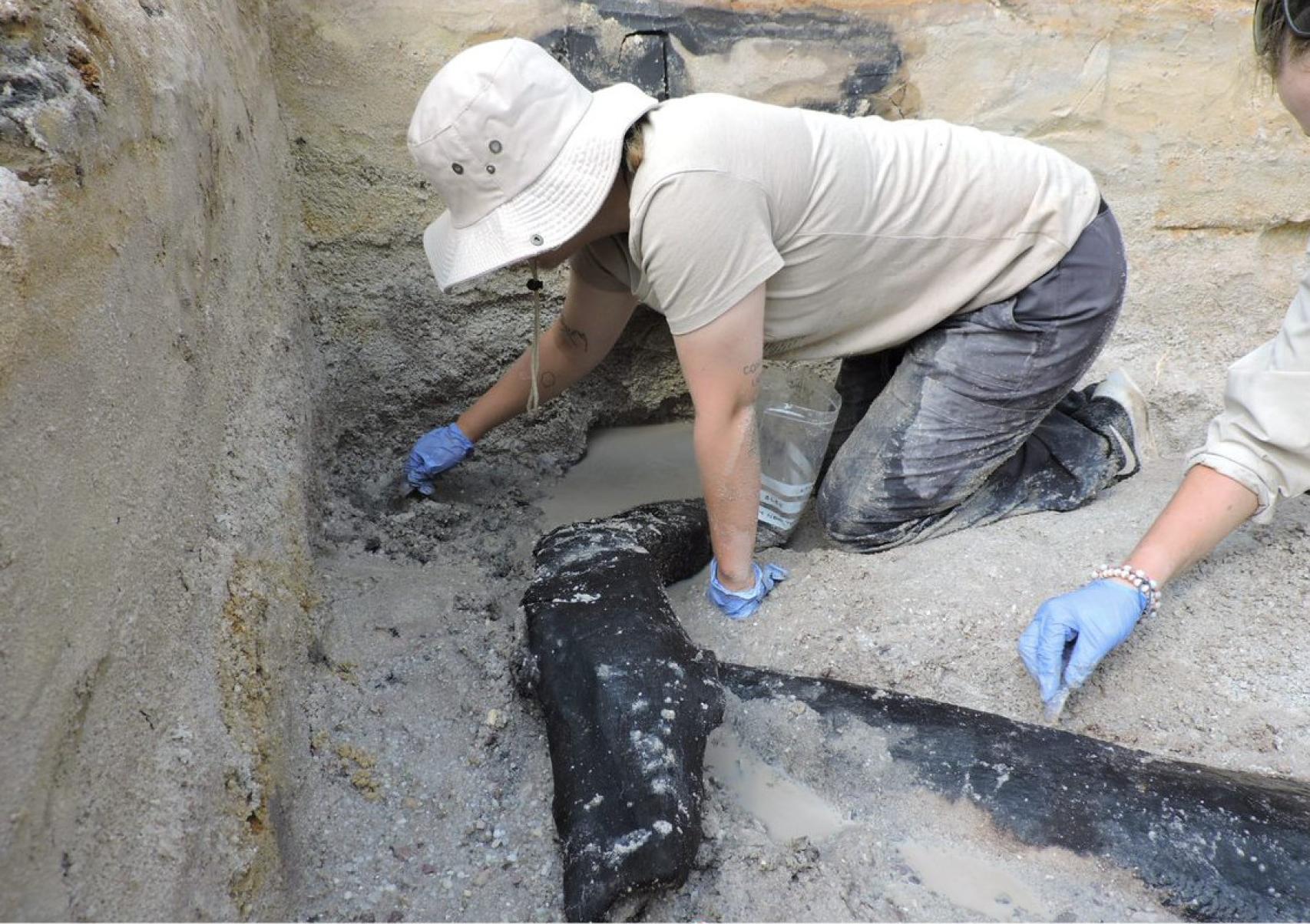 El equipo de arqueólogos sacando a la luz la estructura de madera.