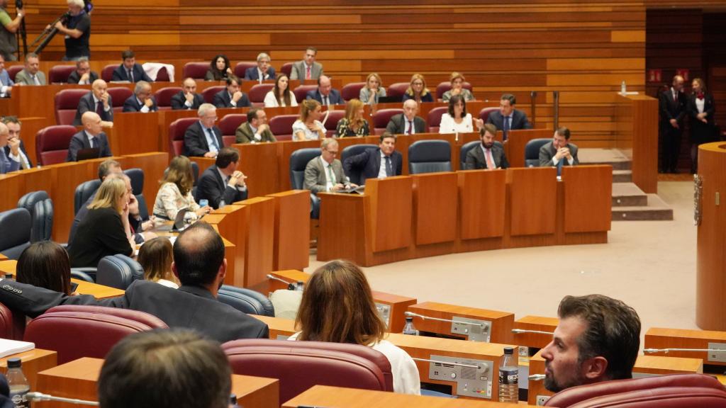 Imagen de un pleno de las Cortes.