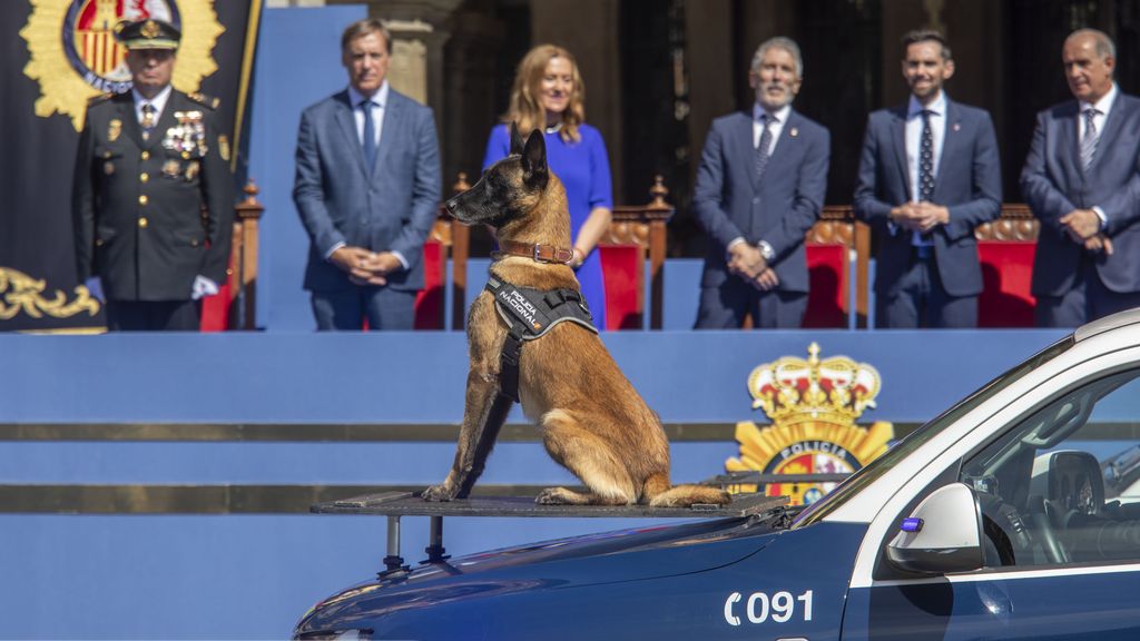 Unidad Canina de la Policía Nacional en el desfile del Día de la Policía presidido por Grande-Marlaska
