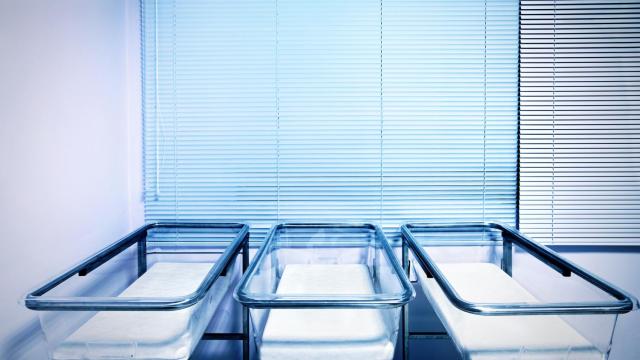 Imagen de archivo de un nido de hospital vacío.