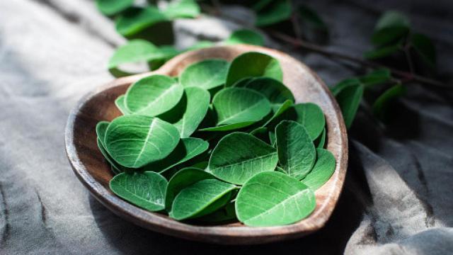 Imagen de un bol con hojas de moringa.