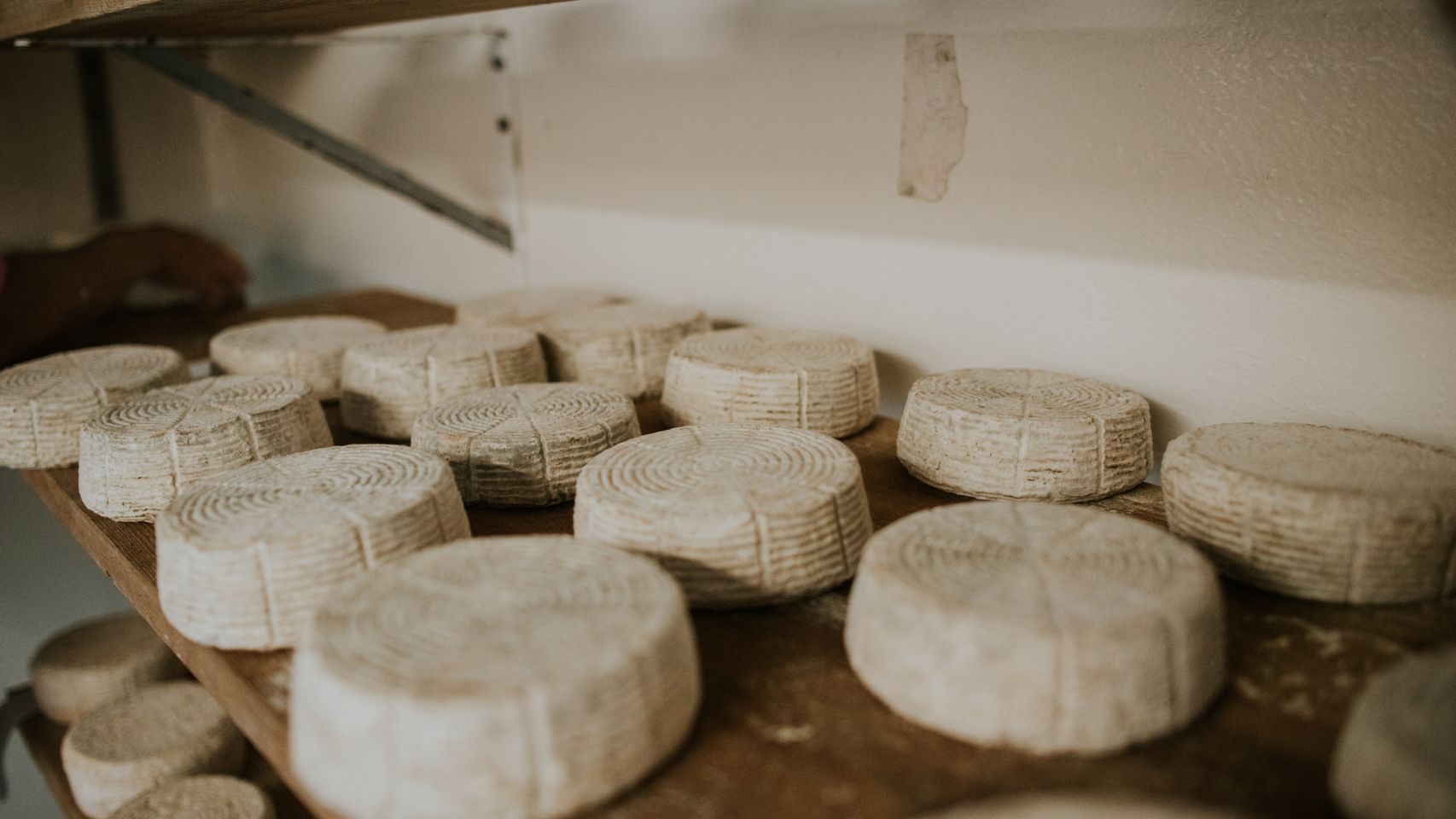 La familia D.O.P. Queso Camerano crece: suman trece ganaderías y cuatro queserías