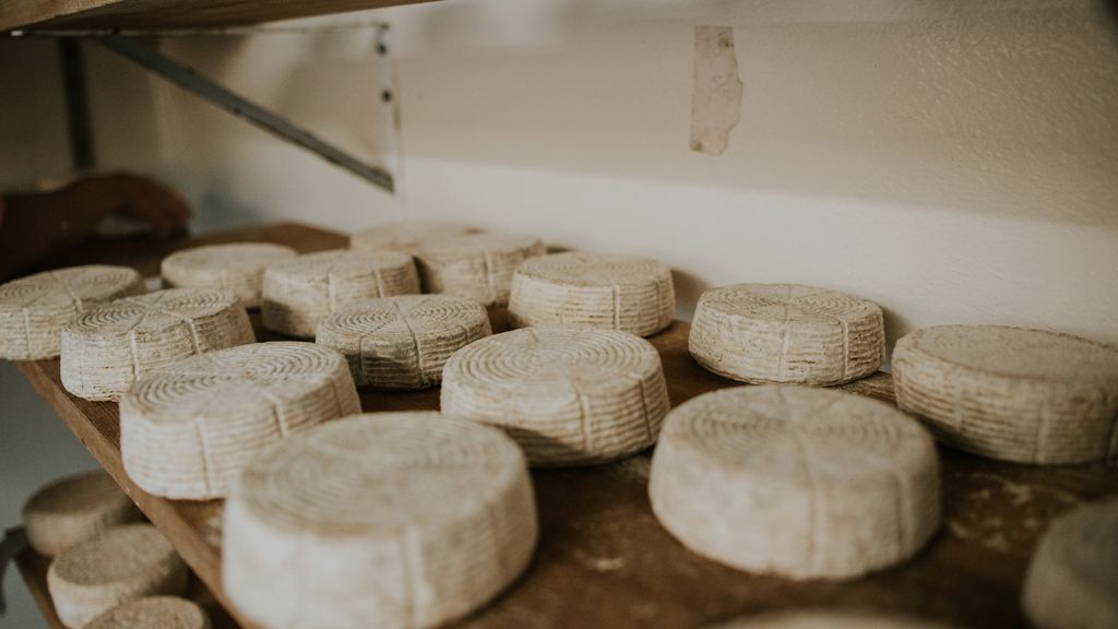 La familia D.O.P. Queso Camerano crece: suman trece ganaderías y cuatro queserías