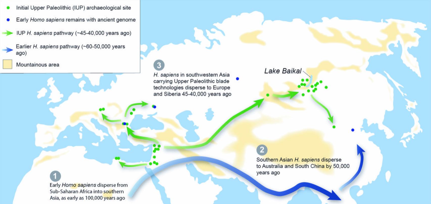 Mapa sobre las rutas migratorias del 'Homo sapiens' desde África hacia Eurasia.