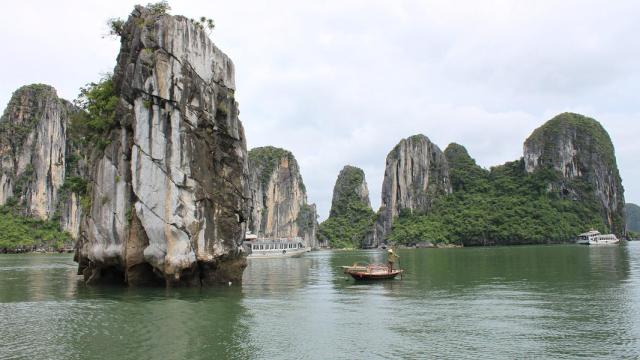El café es una gran aventura que nos lleva a recorrer tres continentes