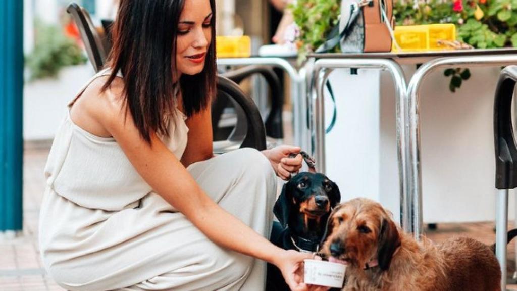 Unos perros degustan un heladog.