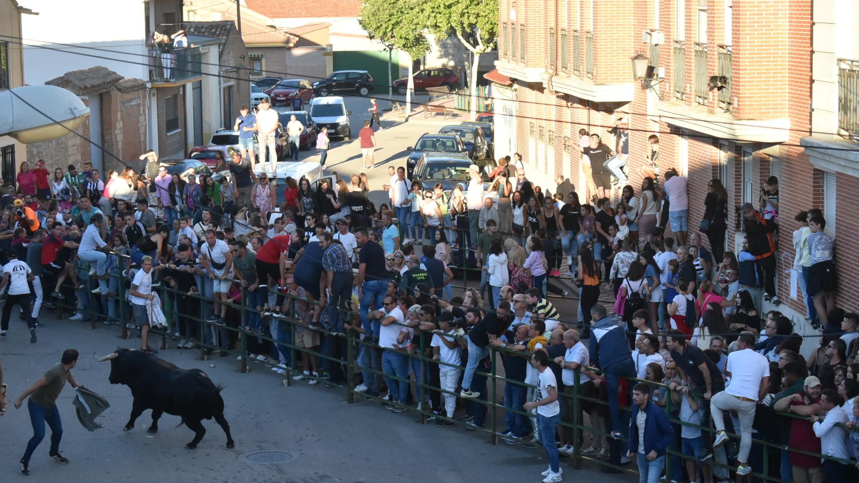 El Toro del Clarete en Cigales