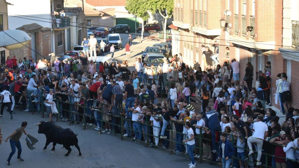 El Toro del Clarete en Cigales
