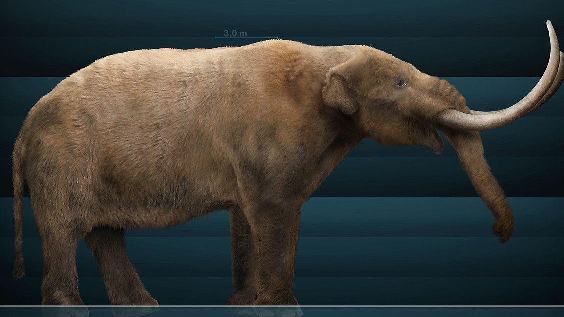 Un ejemplar de mastodonte en imagen de archivo.