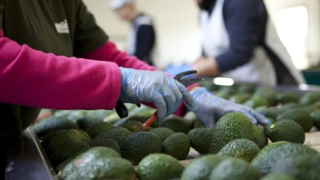 Imagen de archivo.