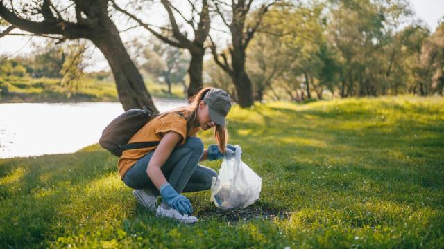 Recoger o recojer: ¿cómo se escribe correctamente?