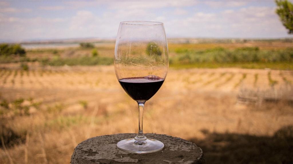 Copa de vino tinto en localidad de la mata, alicante.