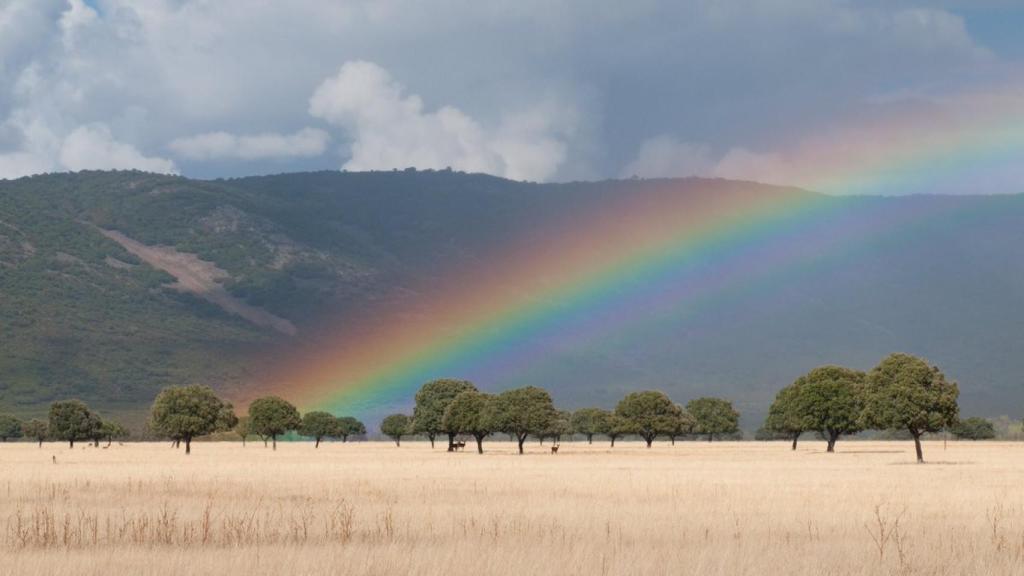 Parque Nacional de Cabañeros, en Castilla-La Mancha. Foto: Parques Nacionales