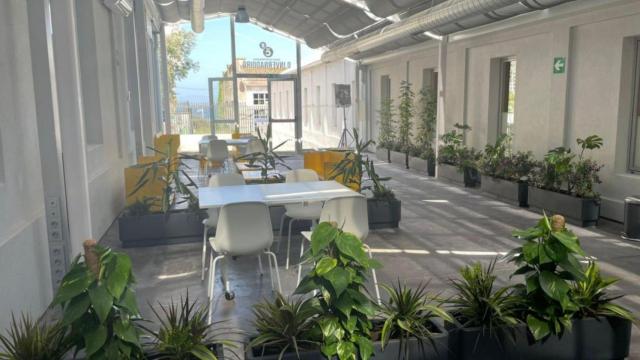 Interior de las naves del Metrosidero.