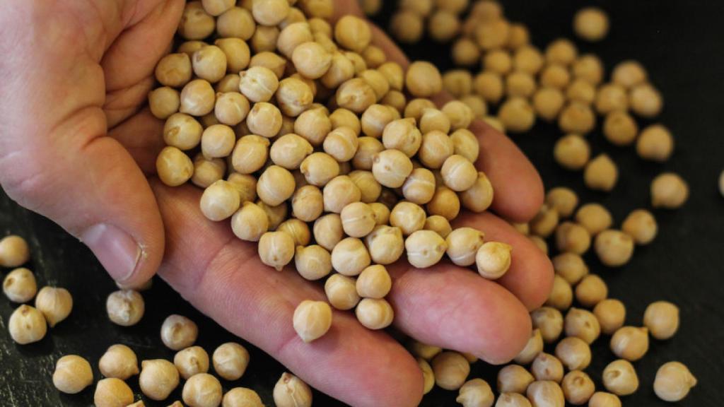 Garbanzos de Pedrosillo El Ralo