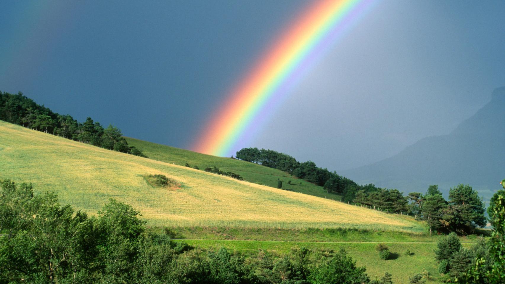 Estos son los colores del arcoíris.