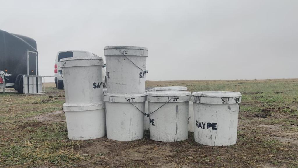Cubos serigrafiados de pintura 'eco-friendly' de Saype.