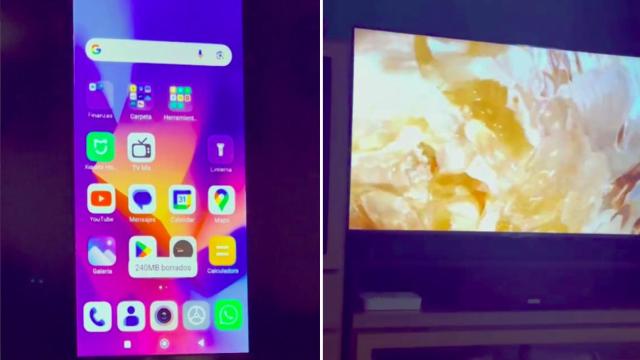Capturas de pantalla del vídeo viral.
