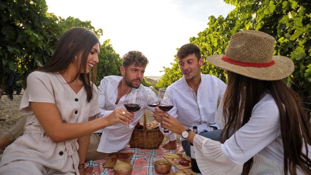 Unos amigos en la Ruta del Vino Ribera del Duero