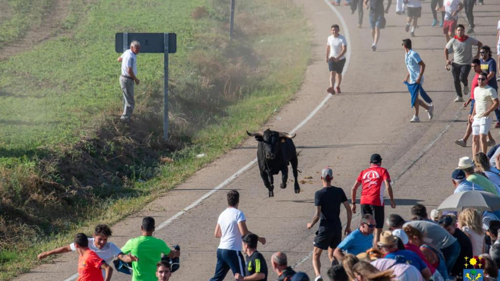 Imagen de uno de los encierros en Olmedo