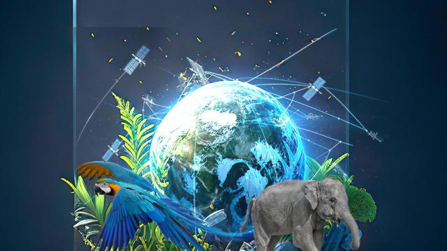 La herramientas tecnológicas, como los satélites, están impulsando el trabajo de las oenegés y los grupos conservacionistas.