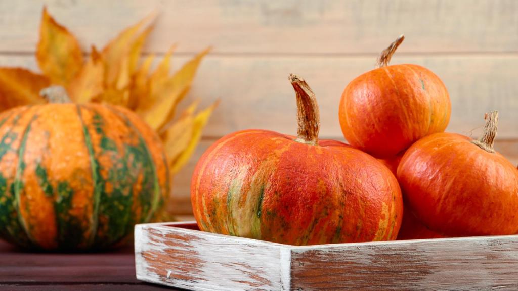 Imagen de archivo de calabazas.