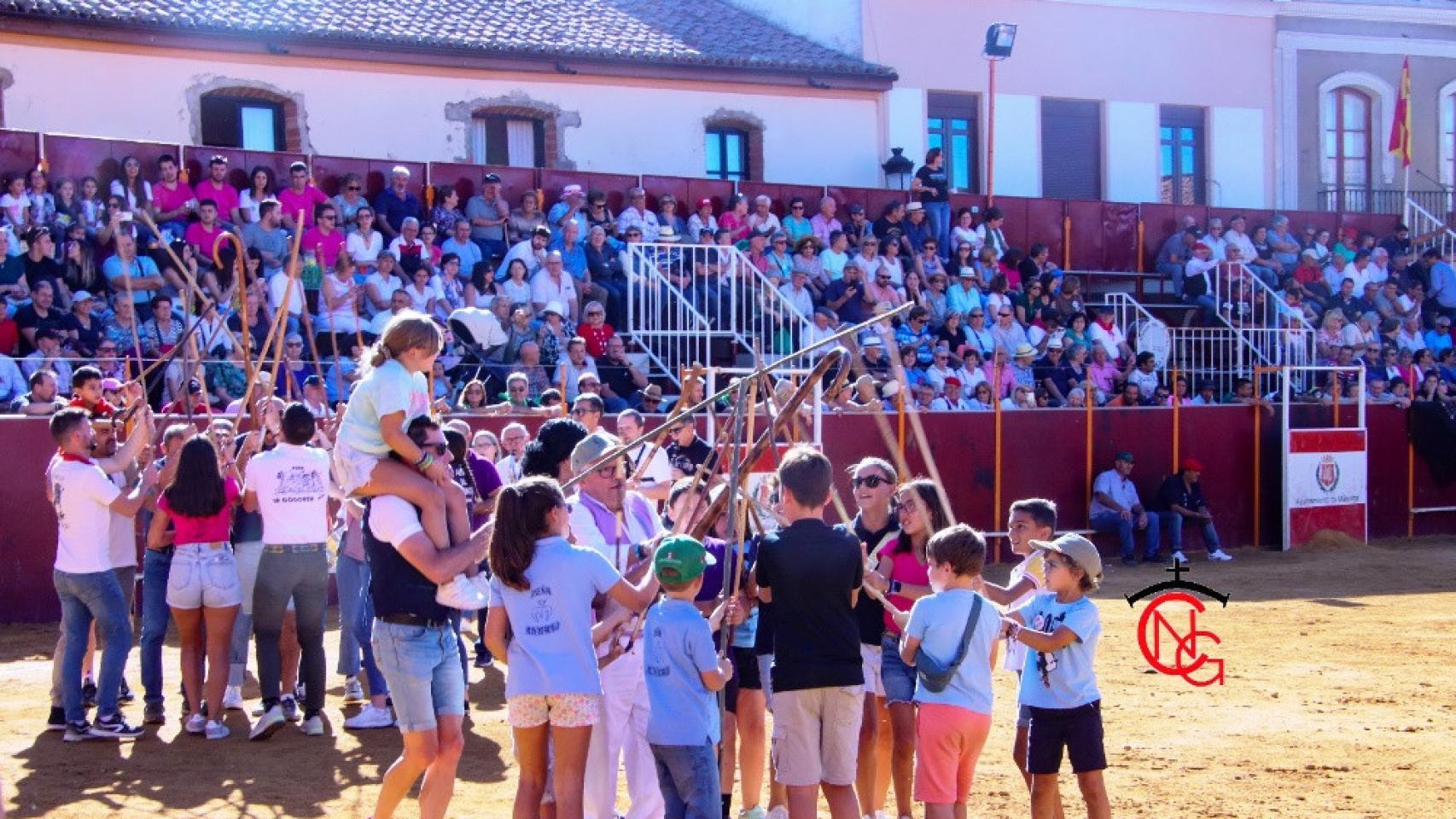 Novillada en Mayorga