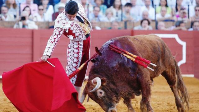 Morante de la Puebla da un derechazo en la feria de San Miguel en Sevilla.