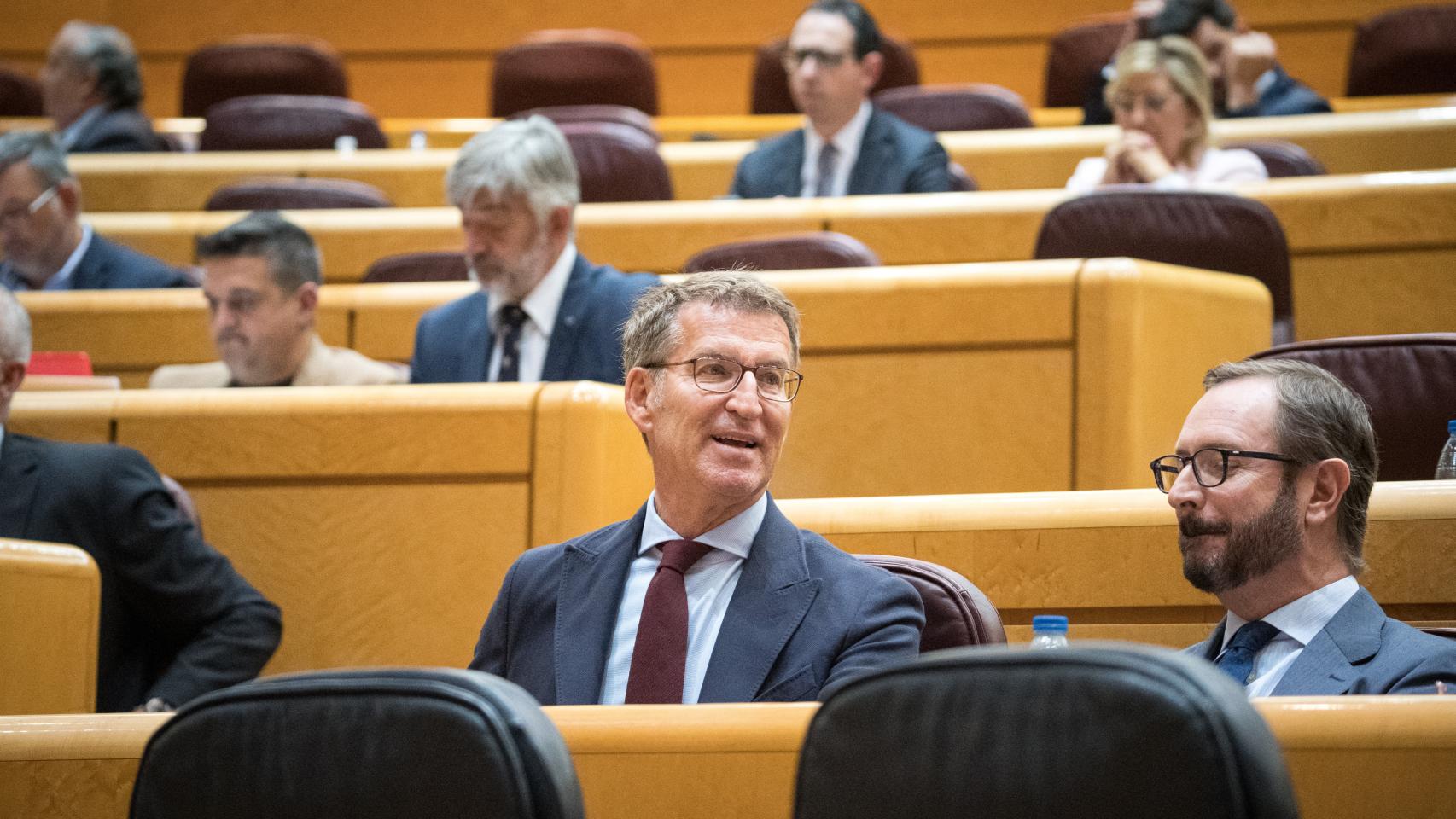 El presidente del PP, Alberto Núñez Feijóo (i) y el portavoz del Partido Popular en el Senado, Javier Maroto (d), en un pleno de Senado de mayo de 2023.