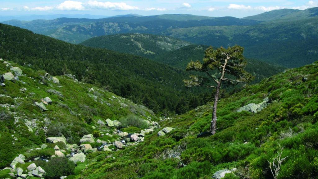 Arroyo de Peñalara en el Parque Nacional de la Sierra de Guadarrama.