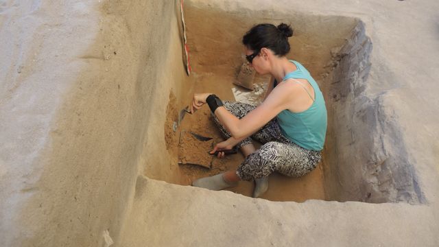 Investigadores de la UA descubren un campo de dunas en Villena de finales de la Edad del Hielo