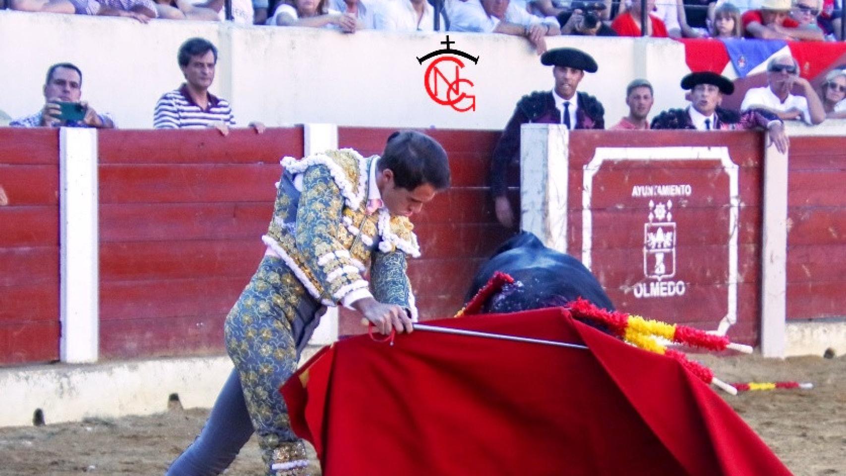 Novillada en Olmedo