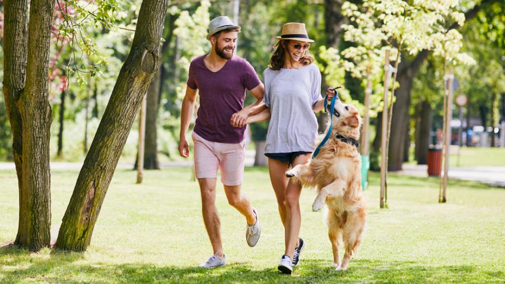 Parejas DINKS, un nuevo concepto de familia.