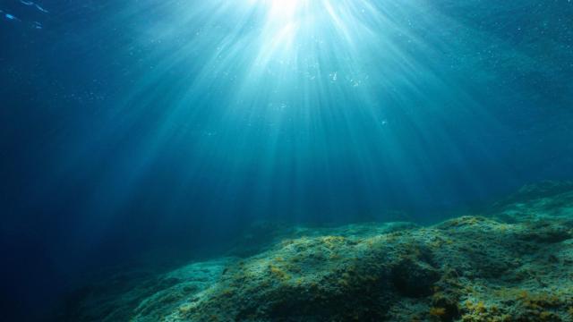 Zona hadal: un vistazo a lo desconocido en las profundidades del océano