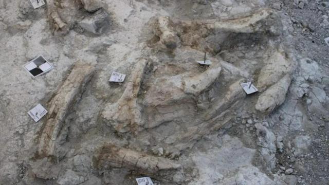 El hallazgo arqueológico en Vallecas.