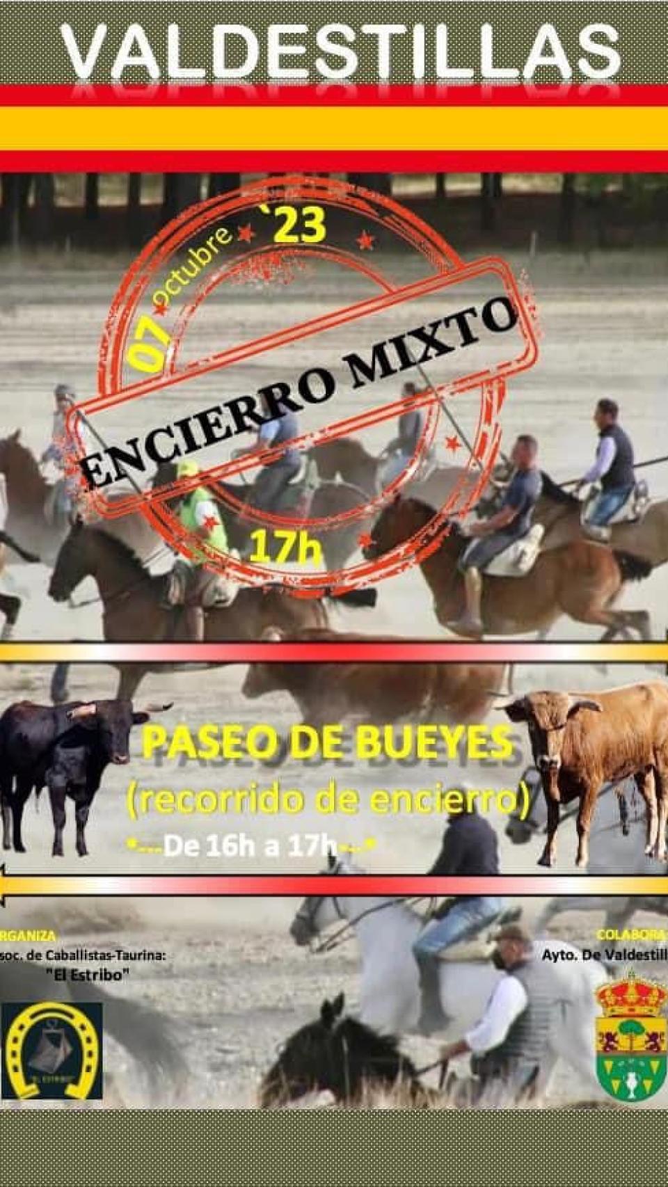 Cartel del encierro en Valdestillas