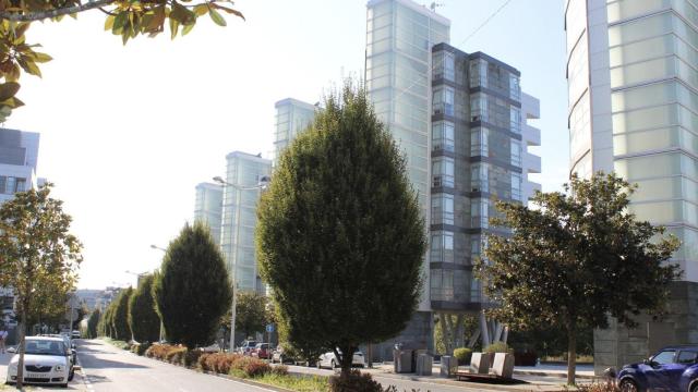 Avenida de Barcelona, en Santa Marta.