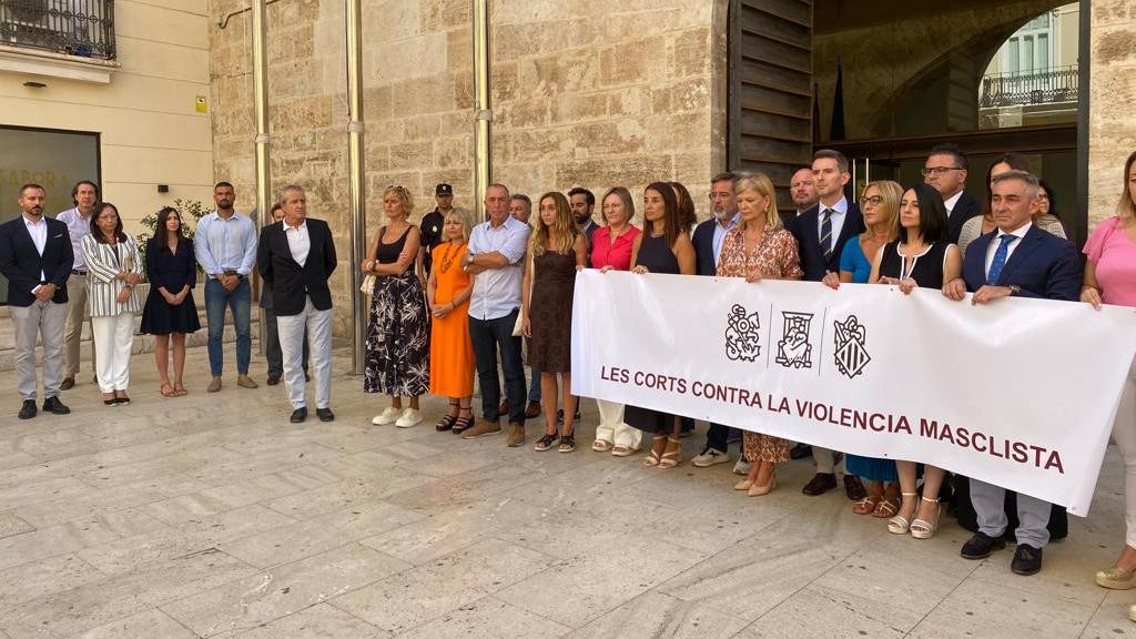 Diputados de Vox (a la izquierda) al margen de una pancarta contra la violencia machista en las Cortes Valencianas. EE