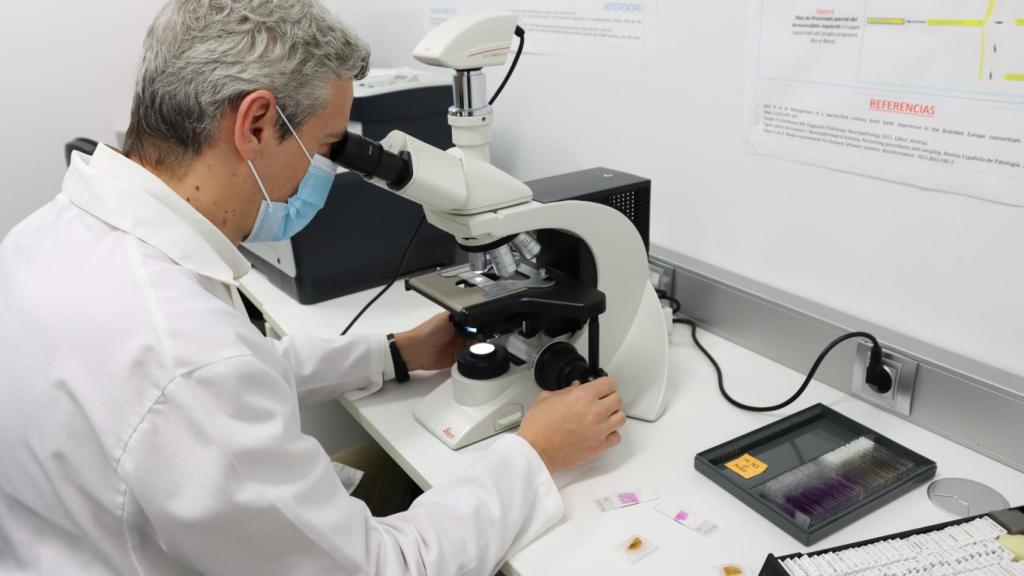 El doctor Javier Herrero en su laboratorio